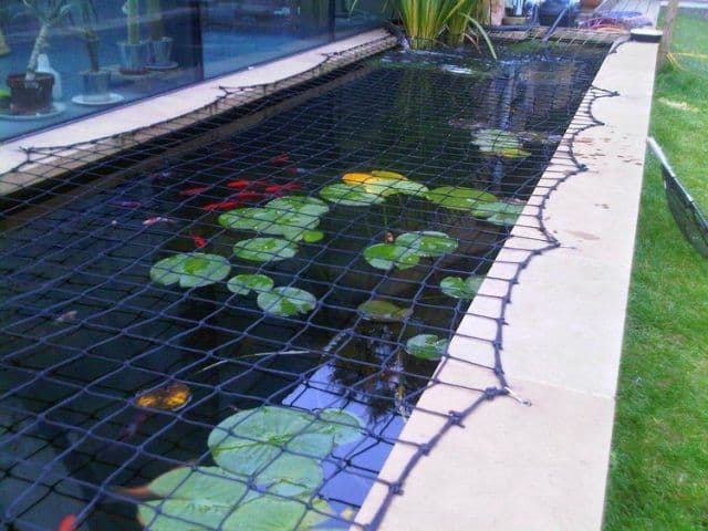 filet pour bassin de jardin filet pour bassin de jardin