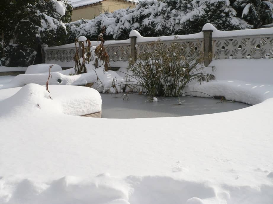 bassin de jardin en hiver bassin de jardin en hiver