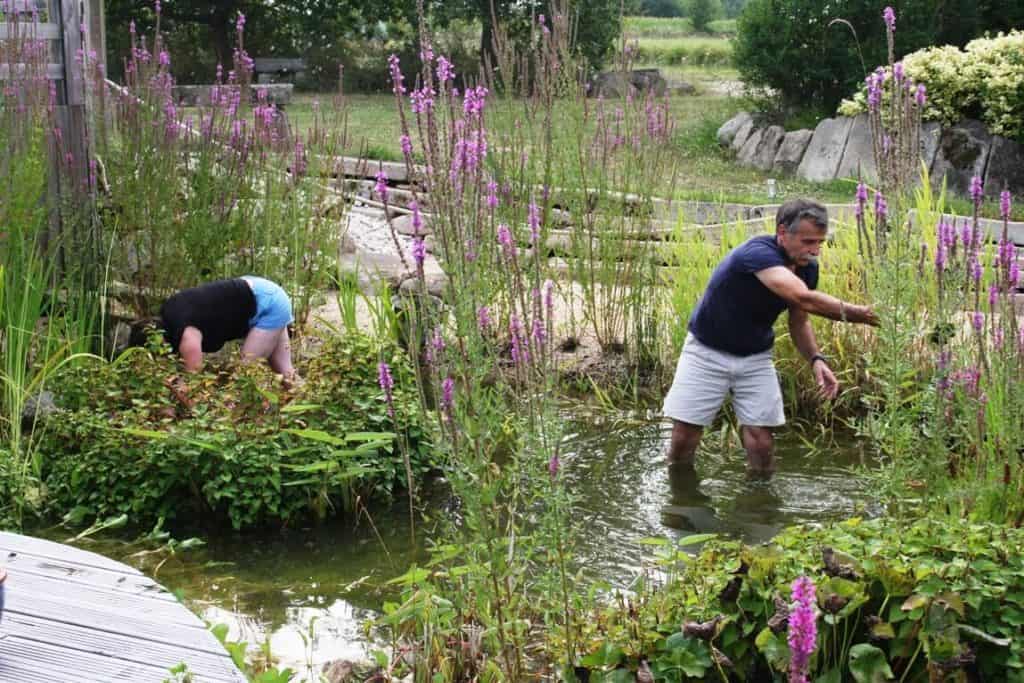 Entreprise Entretien Bassin De Jardin