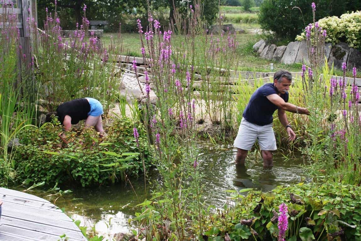 entretien de bassin de jardin