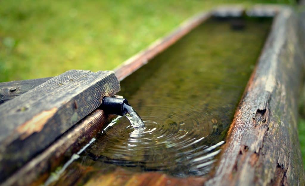 Source d’eau au jardin arrosage, réglementation et techniques — free download