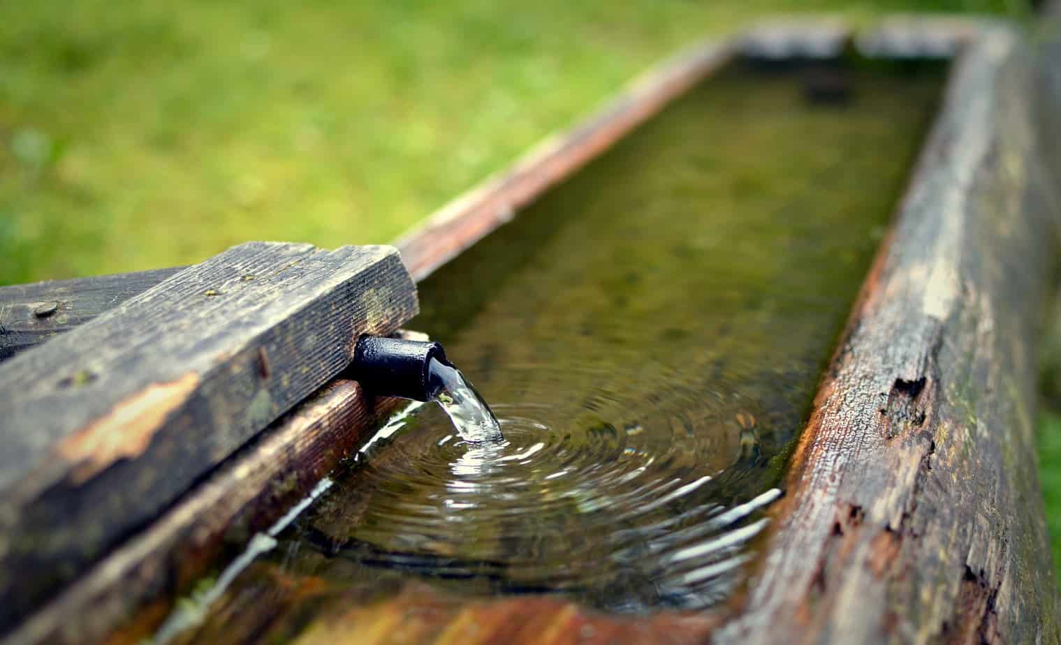 exemple de bonne utilisation de source d'eau dans son jardin