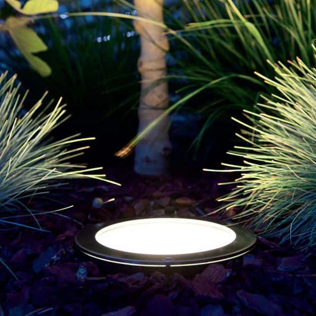 faisceaux lumineux arbre faisceaux lumineux arbre