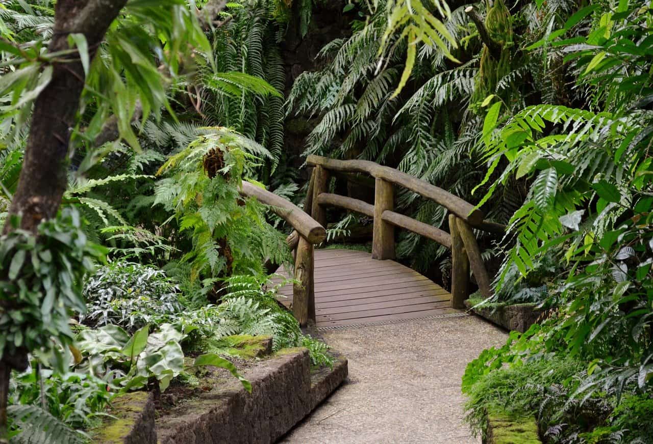 passerelle en platelage bois