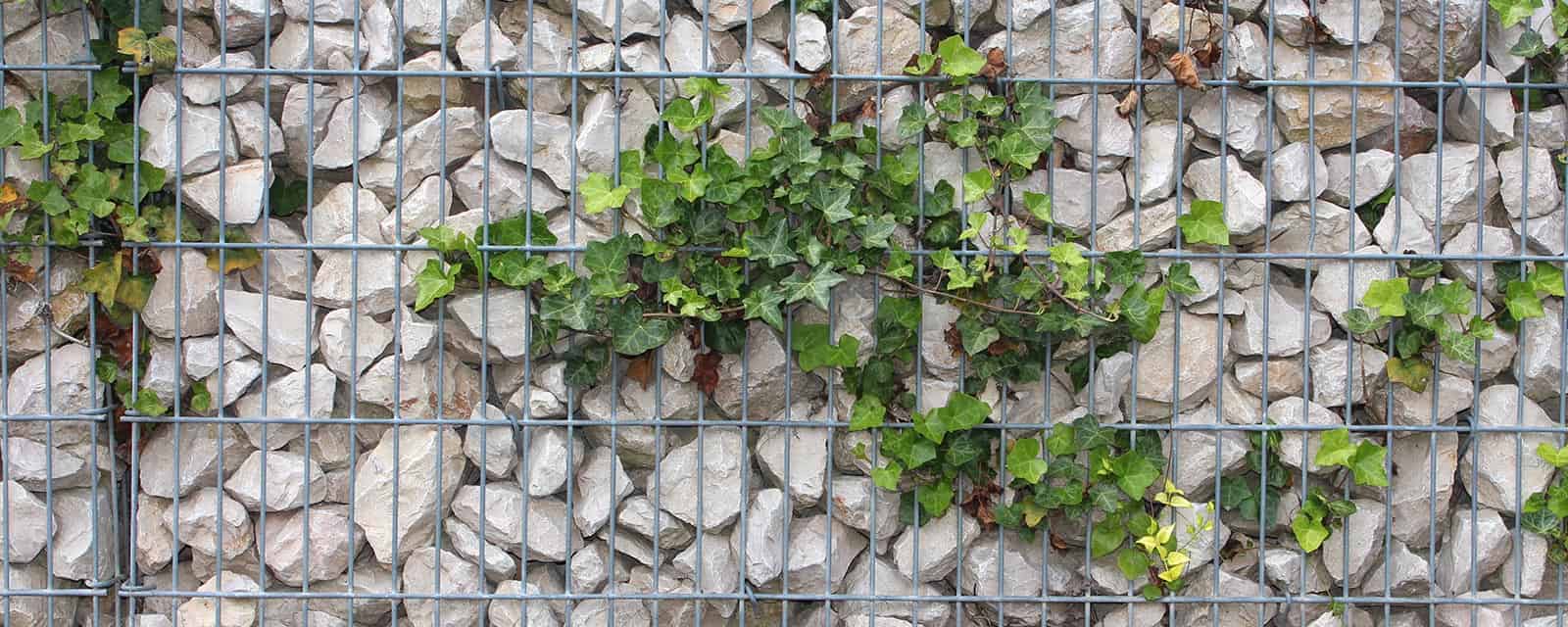 gabion végétalisé enrochement gabions de soutènement