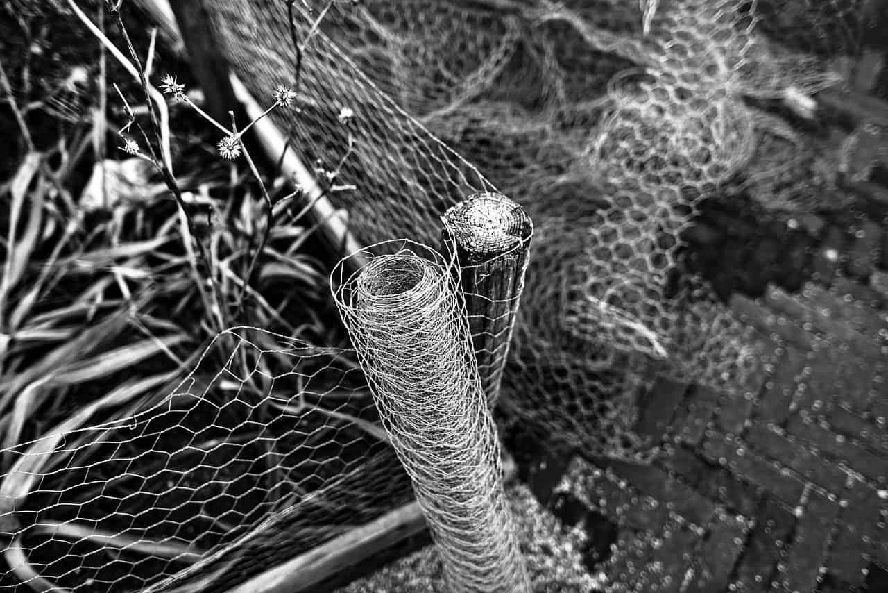 grillage métallique grillage métallique