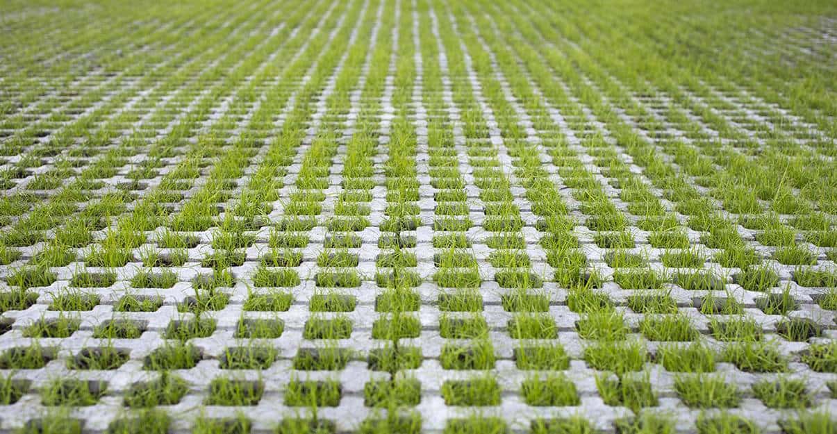 entretien allée de jardin en pavé ou dalle