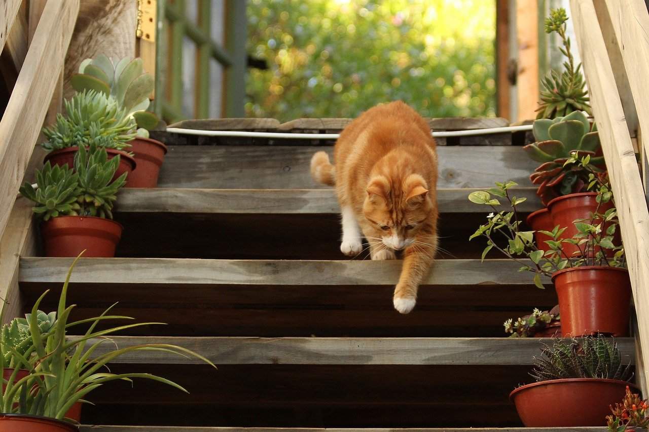 solution antidérapante pour escalier extérieur