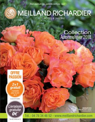catalogue meilland richardier meillandrichardier 4