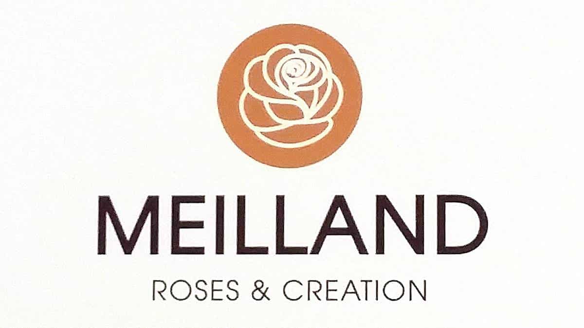 logo meilland richardier logo meilland richardier