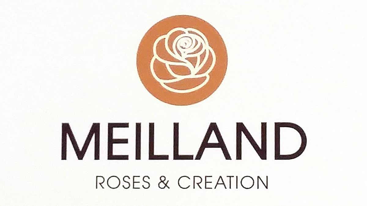 logo meilland richardier