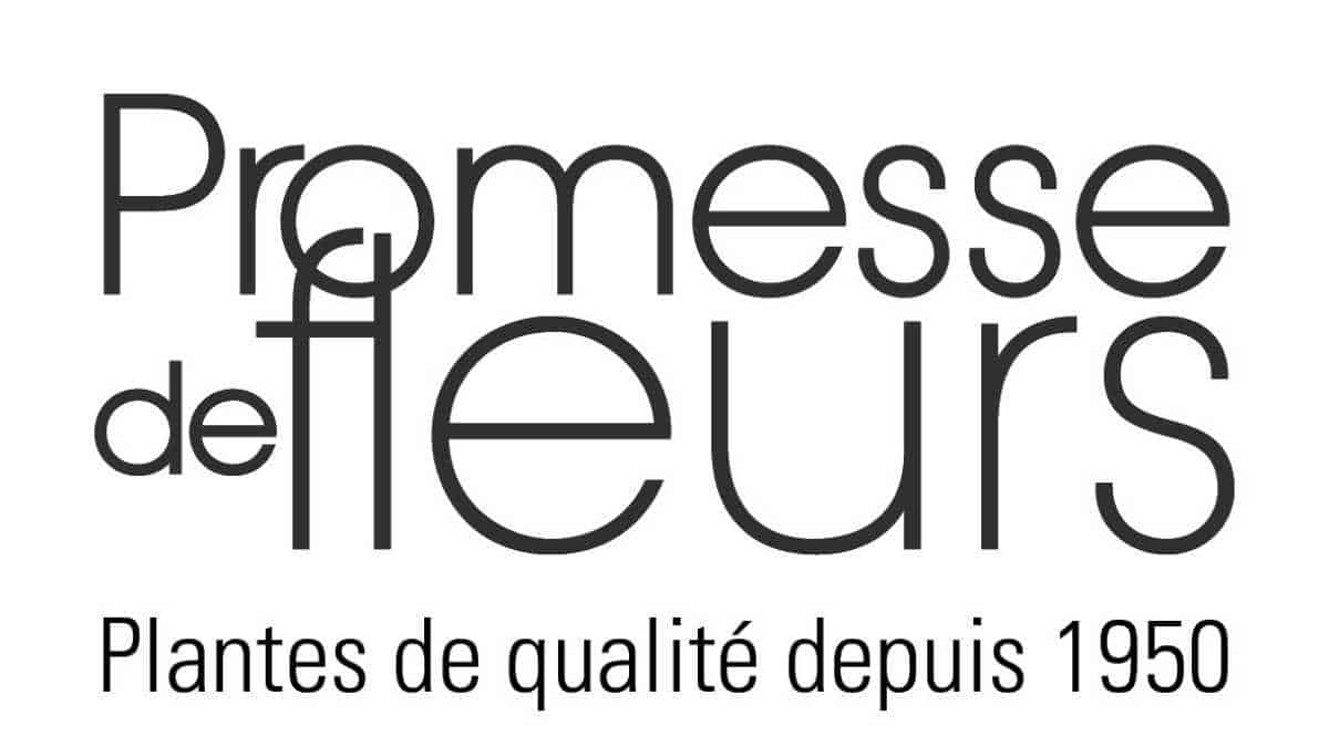 logo promesse de fleurs logo promesse de fleurs