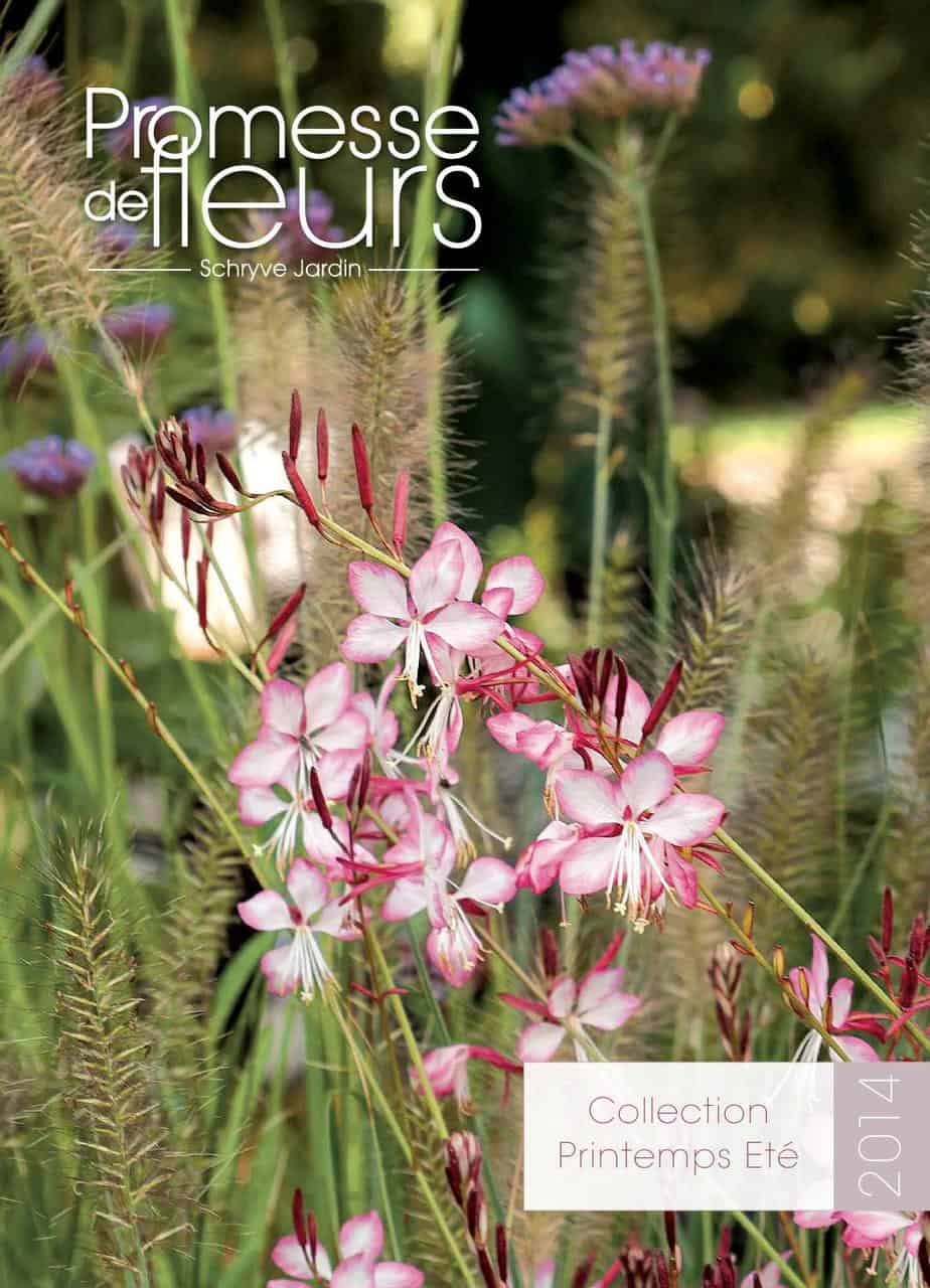 catalogue promesse de fleurs